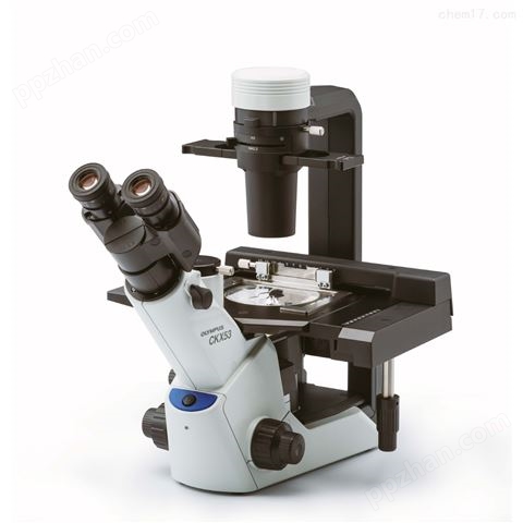 CKX53研究级倒置显微镜