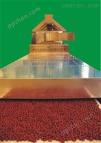 广东福滔微波红枣干燥设备专业生产厂家