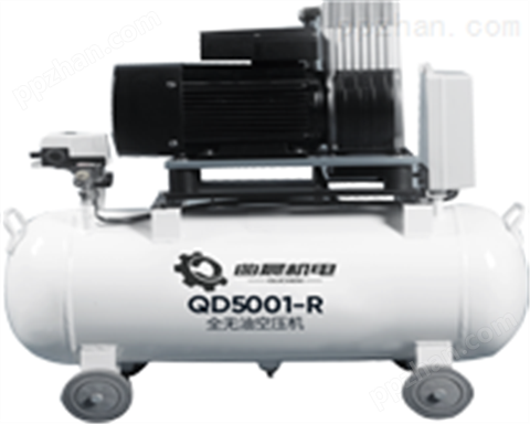 全无油空压机QD5001-R