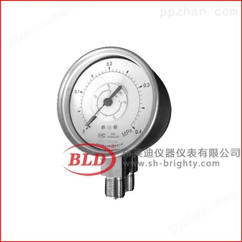 上海布莱迪双针双管压力表水油液气压表